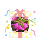 あざやかなピンクの花とつぼみ（個別スタンプ：7）