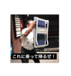 シンさんぽ〜令和さんぽ編（個別スタンプ：2）
