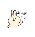 わかウサギ（個別スタンプ：2）