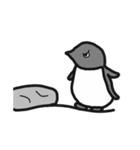 アデリーペンギン(リニューアル)（個別スタンプ：30）