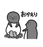 アデリーペンギン(リニューアル)（個別スタンプ：40）