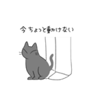 黒猫ismな女の子（個別スタンプ：12）