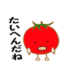プチトマトのお友達（個別スタンプ：15）