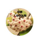 沖縄に咲く花の花言葉（個別スタンプ：5）
