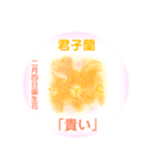 2月、誕生日の花 花言葉つき（個別スタンプ：4）