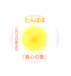 2月、誕生日の花 花言葉つき（個別スタンプ：7）