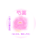 2月、誕生日の花 花言葉つき（個別スタンプ：8）