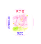 2月、誕生日の花 花言葉つき（個別スタンプ：10）
