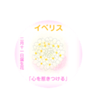 2月、誕生日の花 花言葉つき（個別スタンプ：11）