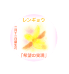 2月、誕生日の花 花言葉つき（個別スタンプ：12）