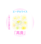 2月、誕生日の花 花言葉つき（個別スタンプ：13）