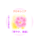 2月、誕生日の花 花言葉つき（個別スタンプ：17）