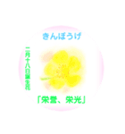 2月、誕生日の花 花言葉つき（個別スタンプ：18）