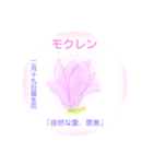 2月、誕生日の花 花言葉つき（個別スタンプ：19）