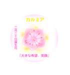 2月、誕生日の花 花言葉つき（個別スタンプ：20）