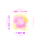 2月、誕生日の花 花言葉つき（個別スタンプ：23）