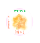 2月、誕生日の花 花言葉つき（個別スタンプ：24）
