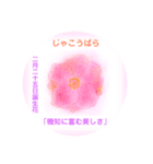 2月、誕生日の花 花言葉つき（個別スタンプ：25）
