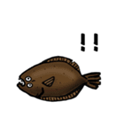 Fisherman's 魚 stamps（個別スタンプ：9）