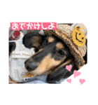 むぅちゃん第3弾（個別スタンプ：1）