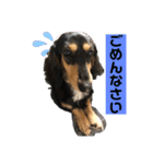 むぅちゃん第3弾（個別スタンプ：5）