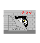 ◎ねこ～忍ver.～（個別スタンプ：1）