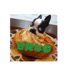 食いしん坊てんちゃんvol.1（個別スタンプ：5）
