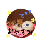 リリベルの日常（個別スタンプ：2）