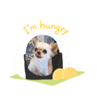 リリベルの日常（個別スタンプ：4）