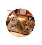 リリベルの日常（個別スタンプ：6）