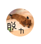 リリベルの日常（個別スタンプ：8）