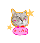 ちいちゃんくまちゃんず（個別スタンプ：6）