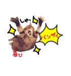 ちいちゃんくまちゃんず（個別スタンプ：8）