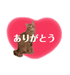 ハナandレオ 1（個別スタンプ：4）