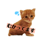 ハナandレオ 1（個別スタンプ：6）