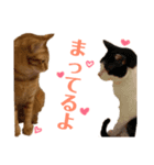 ハナandレオ 1（個別スタンプ：8）