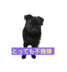 ペグちまん（個別スタンプ：3）