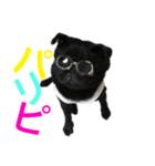ペグちまん（個別スタンプ：5）