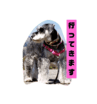 箱入りあず3（個別スタンプ：3）