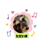 箱入りあず3（個別スタンプ：5）