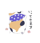 ブサかわねこ ミケさん（個別スタンプ：5）