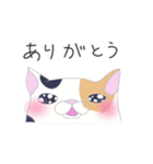 ブサかわねこ ミケさん（個別スタンプ：15）