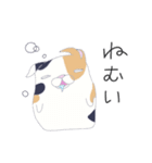 ブサかわねこ ミケさん（個別スタンプ：23）