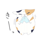 ブサかわねこ ミケさん（個別スタンプ：36）