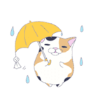 ブサかわねこ ミケさん（個別スタンプ：40）