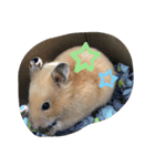 Animals ！！（個別スタンプ：5）