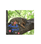 Animals ！！（個別スタンプ：7）