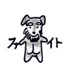 ミニチュアシュナウザーの日常生活（個別スタンプ：1）
