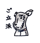 ミニチュアシュナウザーの日常生活（個別スタンプ：2）