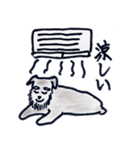 ミニチュアシュナウザーの日常生活（個別スタンプ：24）